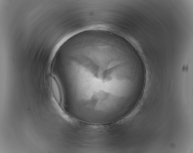 X0000113250816200909171624