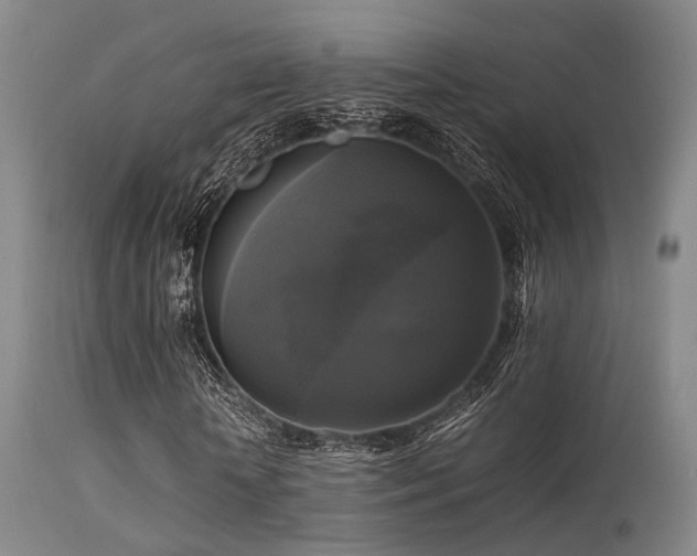 X0000113250818200909171623