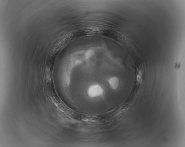 X0000113250819200909171623