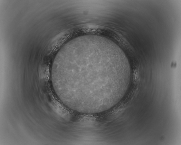 X0000113250820200909171623