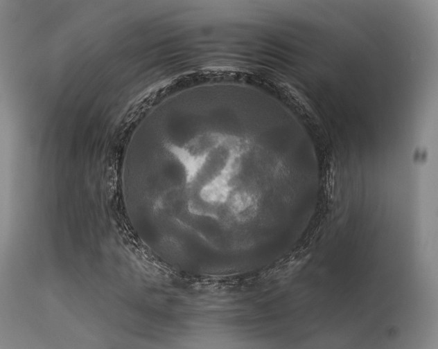 X0000113250821200909171623