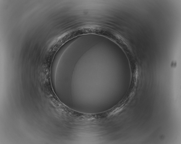 X0000113250822200909171623