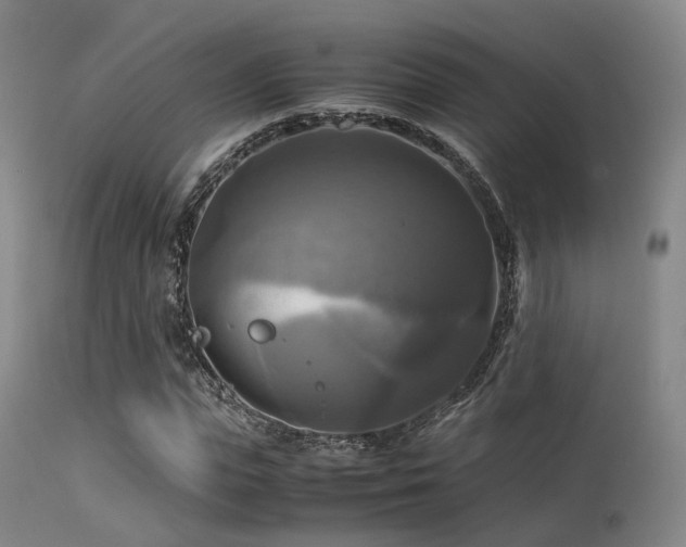 X0000113250823200909171623