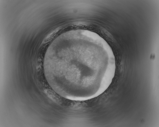 X0000113250824200909171623