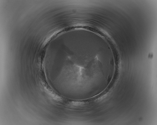 X0000113250825200909171623