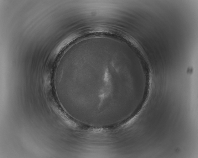 X0000113250826200909171623