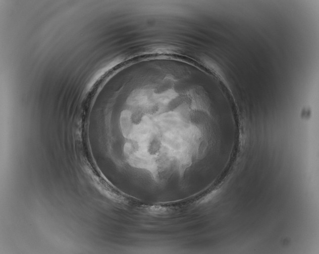 X0000113250827200909171623