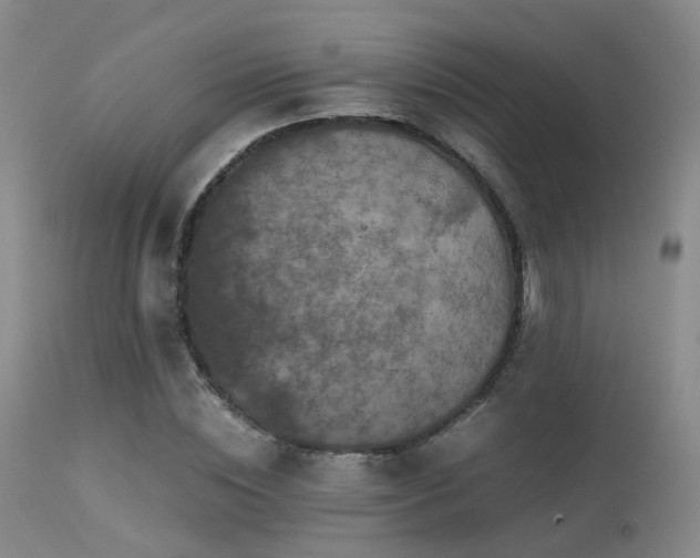 X0000113250828200909171623