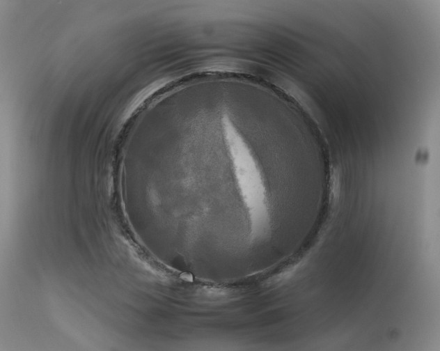 X0000113250829200909171623