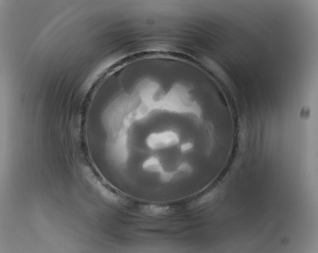 X0000113250831200909171623