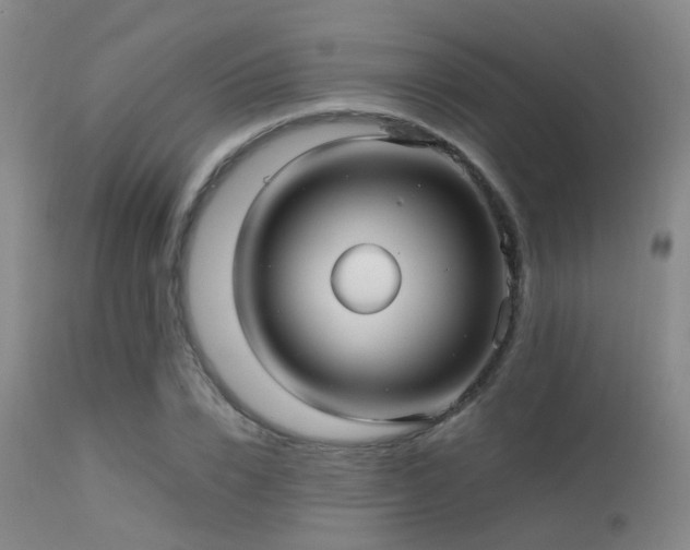 X0000113250832200909171623