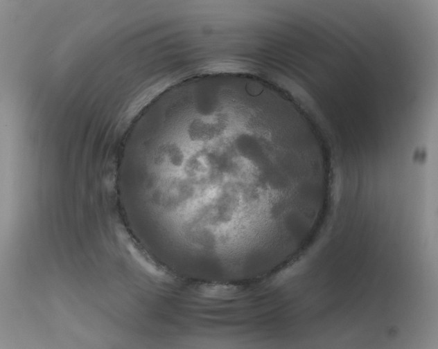 X0000113250833200909171623