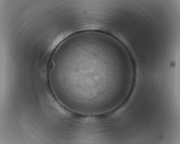 X0000113250834200909171623