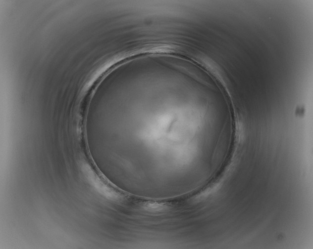 X0000113250835200909171623