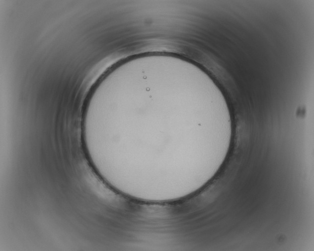 X0000113250836200909171623