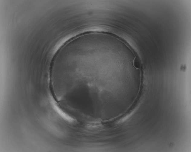 X0000113250837200909171624