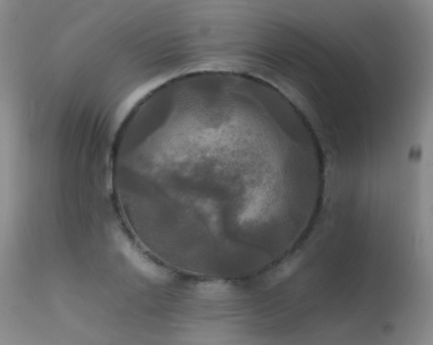 X0000113250838200909171624