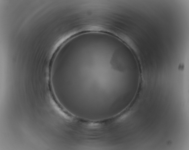 X0000113250839200909171624