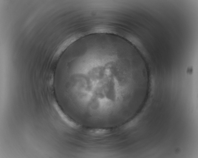 X0000113250841200909171624