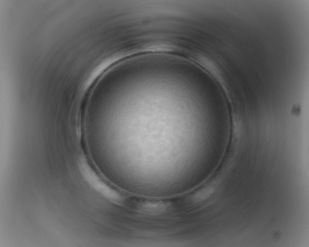 X0000113250843200909171624