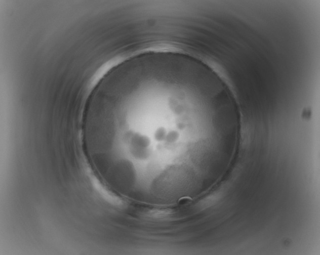 X0000113250845200909171624