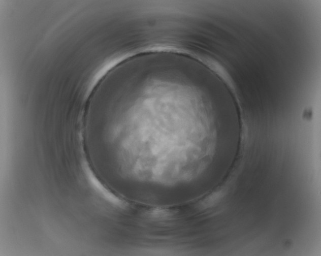 X0000113250847200909171624