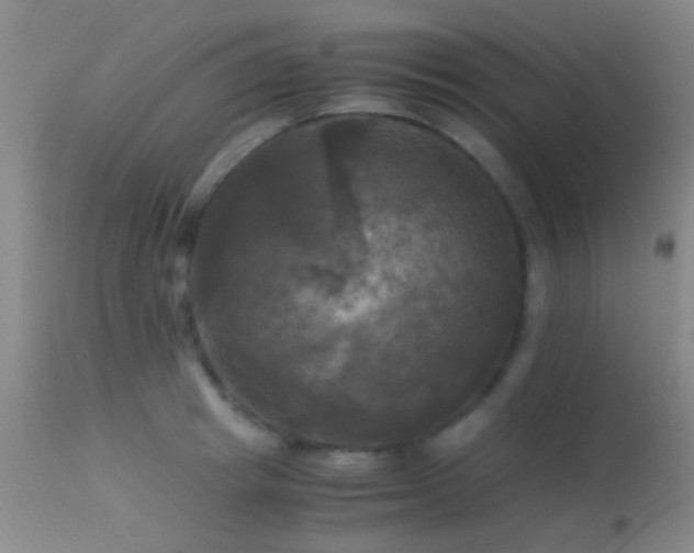 X0000113250849200909171624