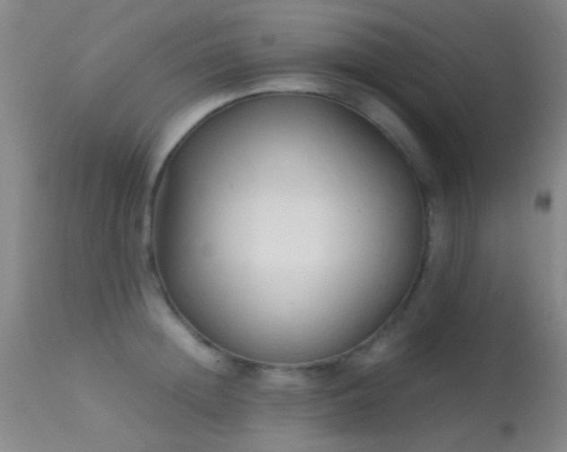 X0000113250852200909171624