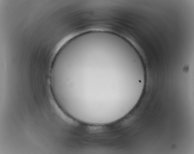 X0000113250853200909171624