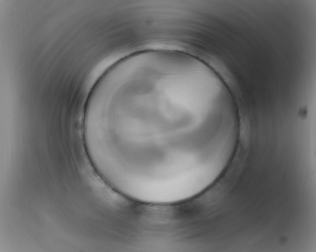 X0000113250856200909171624