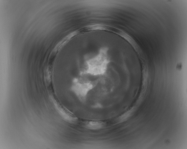 X0000113250857200909171624