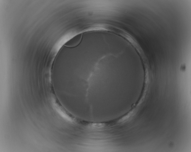 X0000113250858200909171624