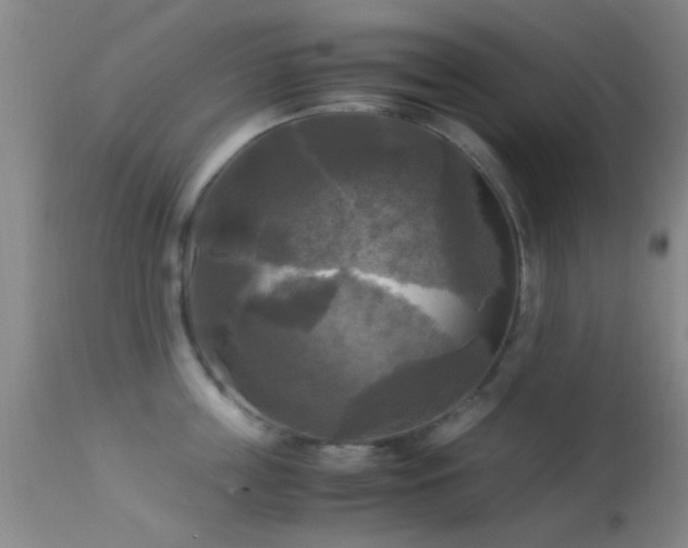 X0000113250859200909171624