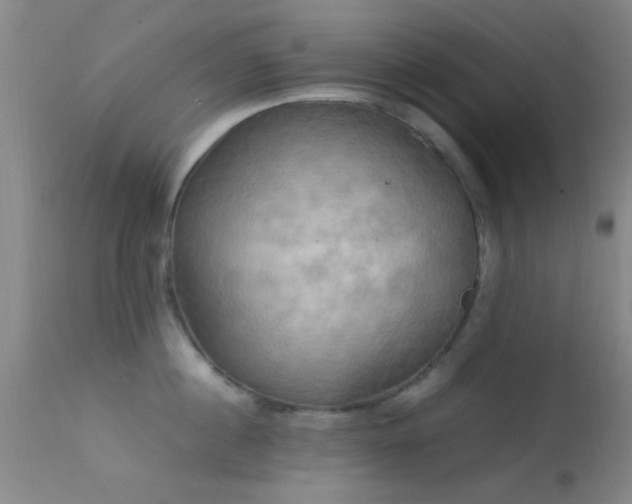 X0000113250860200909171624