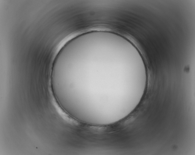 X0000113250861200909171624