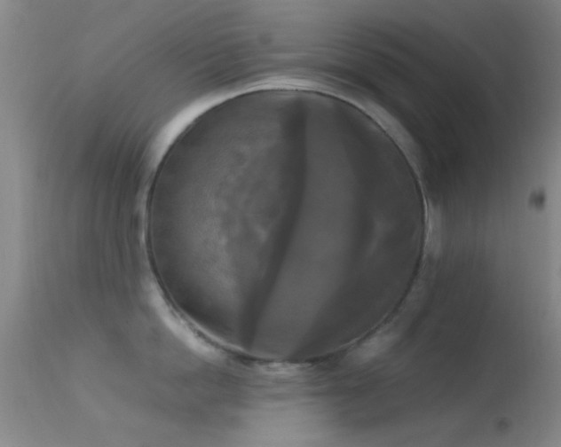 X0000113250862200909171624