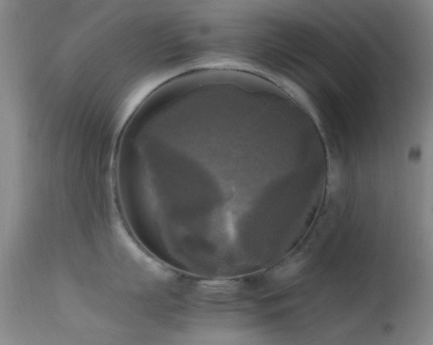 X0000113250863200909171624