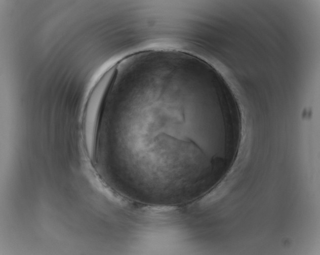 X0000113250864200909171624