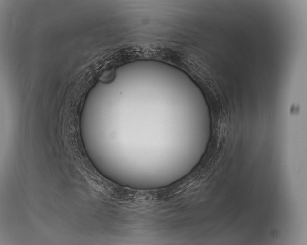 X0000113250865200909171623