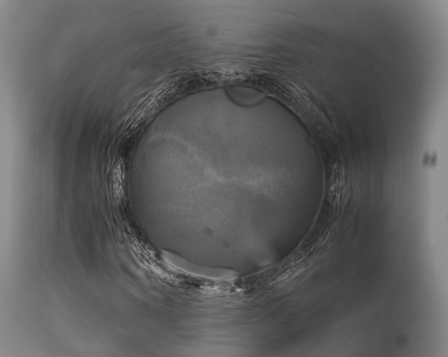 X0000113250866200909171623