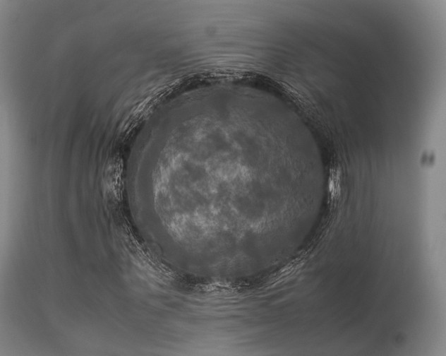 X0000113250867200909171623