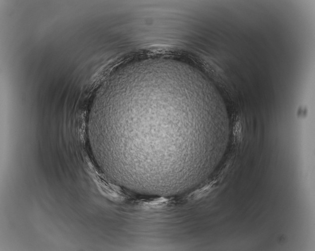 X0000113250868200909171623