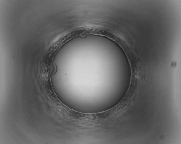 X0000113250869200909171623