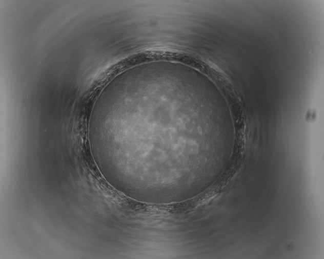 X0000113250870200909171623