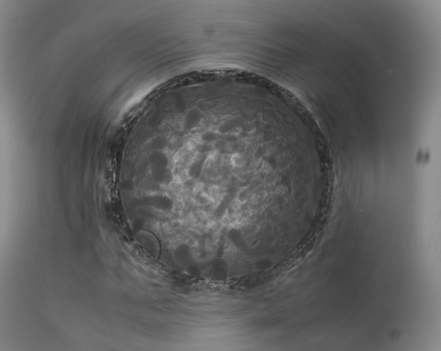 X0000113250871200909171623