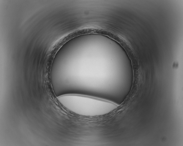 X0000113250872200909171623