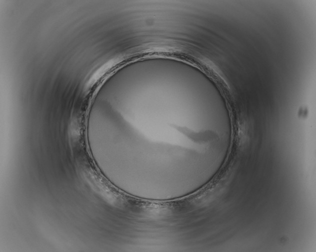 X0000113250874200909171623