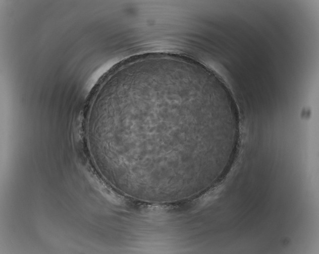 X0000113250875200909171623