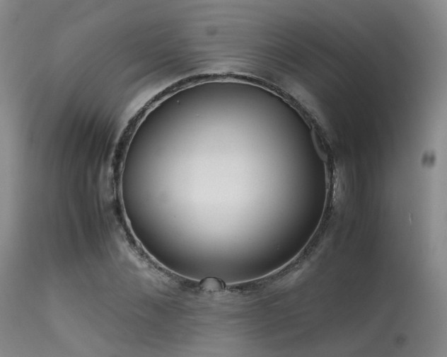 X0000113250876200909171623