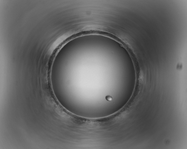 X0000113250877200909171623